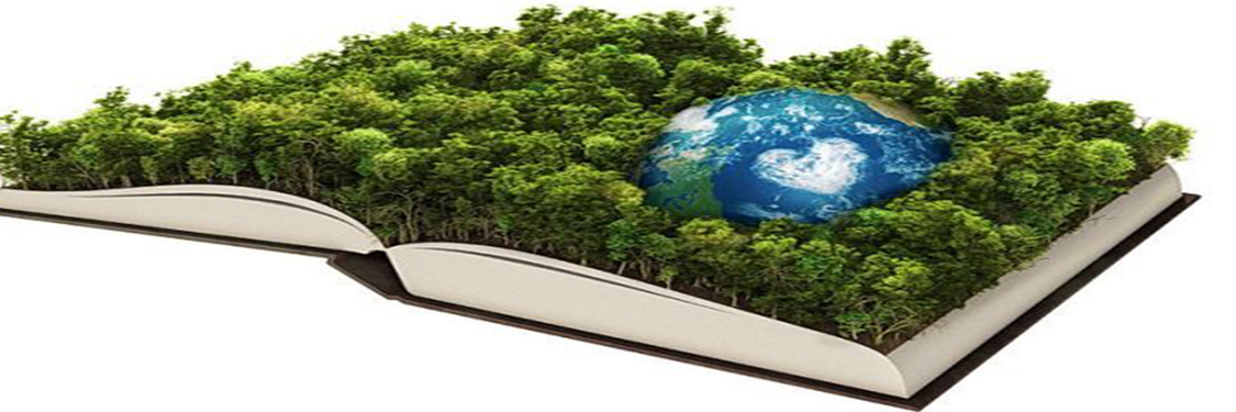 CONSULTORIA E CERTIFICAÇÃO AMBIENTAL CONSULTORIA E CERTIFICAÇÃO AMBIENTAL